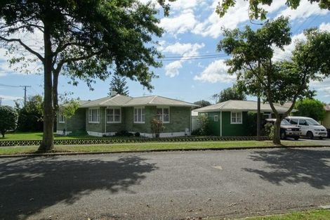 Photo of property in 18 Matai Street, Levin, 5510