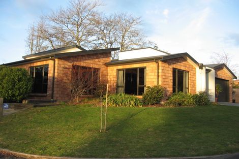 Photo of property in 19 Whyte Street, Hamilton East, Hamilton, 3216