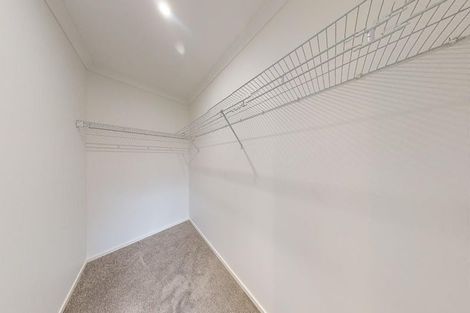 Photo of property in 41a Paterson Street, Mount Maunganui, 3116