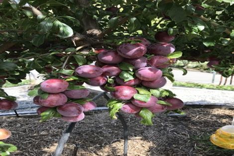 Photo of property in 8 Ocean View Terrace, Sumner, Christchurch, 8081