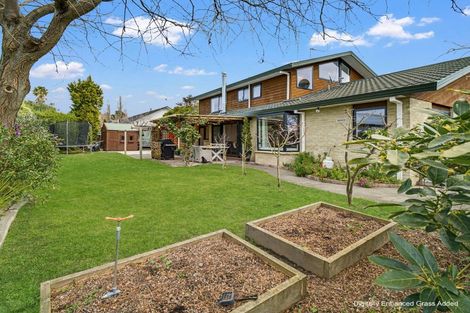 Photo of property in 49 James Cook Street, Havelock North, 4130