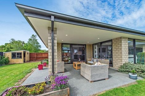 Photo of property in 31 Carston Street, Leeston, 7632