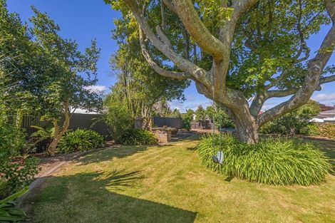 Photo of property in 8 Derby Street, Feilding, 4702