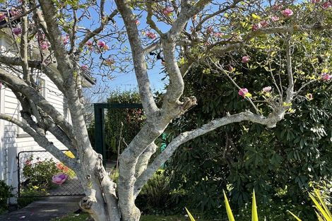 Photo of property in 2 Campbell Street, Wairoa, 4108