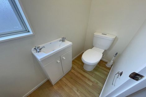 Photo of property in 183b Massey Street, Frankton, Hamilton, 3204