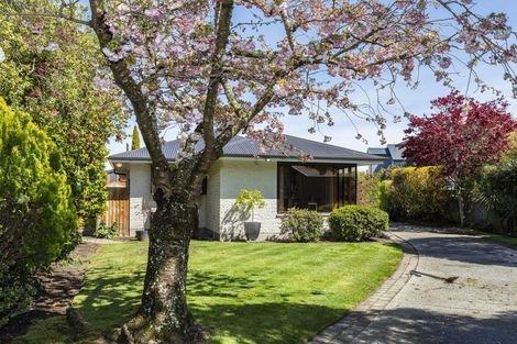 Photo of property in 11b Ashgrove Terrace, Somerfield, Christchurch, 8024