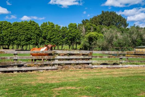 Photo of property in 597d Omanawa Road, Omanawa, Tauranga, 3171