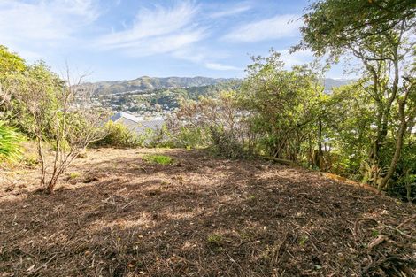 Photo of property in 201 Melbourne Road, Island Bay, Wellington, 6023