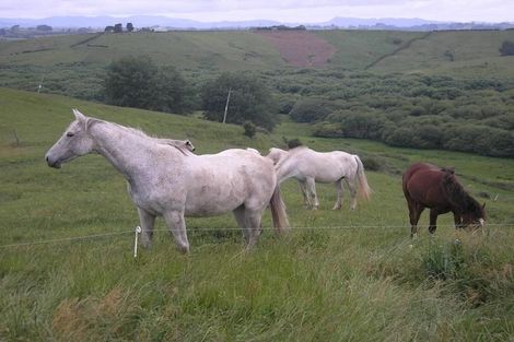 Photo of property in 44 Slater Road, Ruawaro, Huntly, 3772