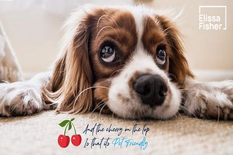 Photo of property in 4a Tuscany Way, Te Atatu Peninsula, Auckland, 0610