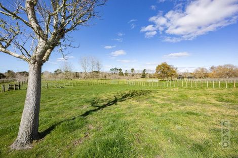 Photo of property in 179 Taupaki Road, Taupaki, 0782
