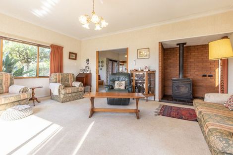 Photo of property in 58 Mount Herbert Road, Waipukurau, 4200