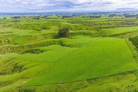 Photo of property in 157 Williams Road, Muriwai, Gisborne, 4072
