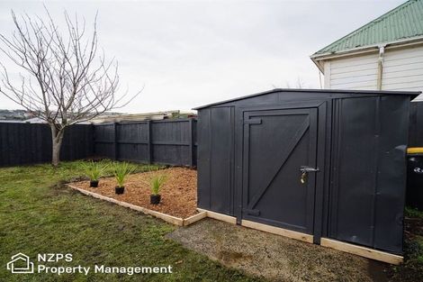 Photo of property in 14 Kings Avenue, Saint Kilda, Dunedin, 9012