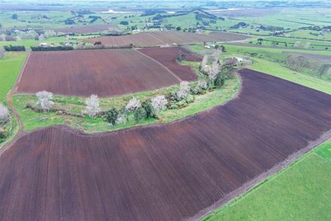 Photo of property in 59 Lee Road, Te Kohanga, 2693