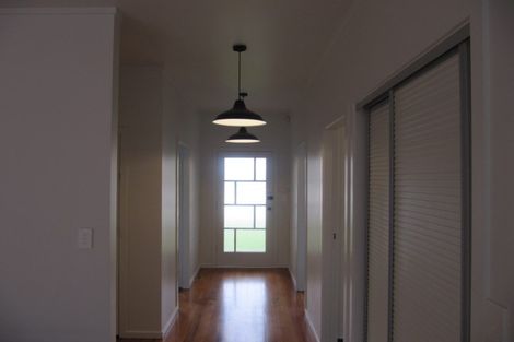 Photo of property in 245a Meola Road, Point Chevalier, Auckland, 1022