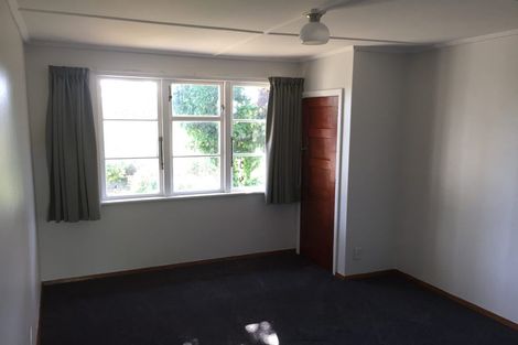 Photo of property in 166 Vogel Street, Roslyn, Palmerston North, 4414