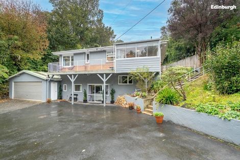 Photo of property in 59a Blacks Road, North East Valley, Dunedin, 9010