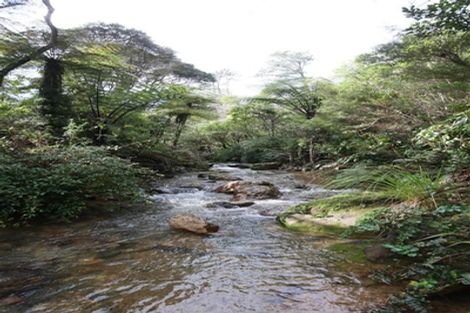 Photo of property in 761 Driving Creek Road, Coromandel, 3583