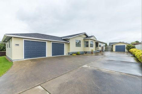 Photo of property in 617 Queen Street East, Levin, 5510