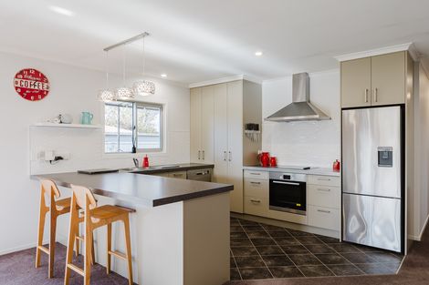 Photo of property in 21 Chamberlain Road, Masterton, 5888