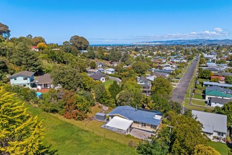 Photo of property in 55 Winter Street, Mangapapa, Gisborne, 4010