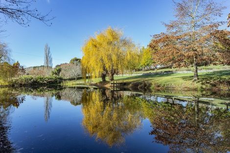 Photo of property in 149 Parnassus Road, Cheviot, 7384