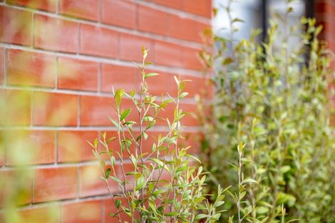 Photo of property in 10/1 North Ridge Drive, Rototuna North, Hamilton, 3281