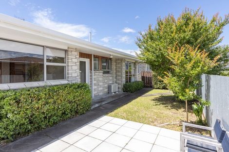 Photo of property in 2/31 Middle Road, Havelock North, 4130
