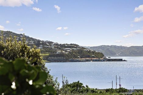 Photo of property in 14a Tirangi Road, Rongotai, Wellington, 6022