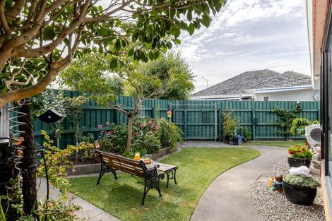 Photo of property in 183a College Street, Awapuni, Palmerston North, 4412