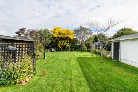 Photo of property in 41 Hammond Street, Bulls, 4818