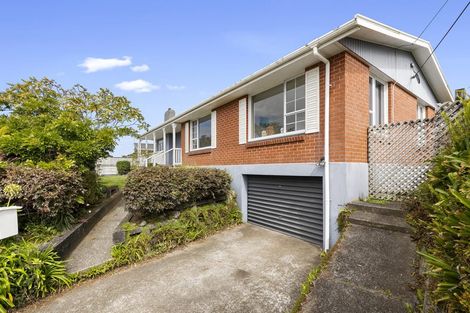 Photo of property in 252 Huatoki Street, Upper Vogeltown, New Plymouth, 4310