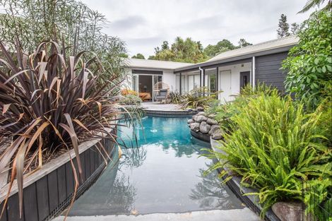 Photo of property in 43 Redwood Grove, Levin, 5571