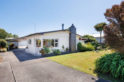 Photo of property in 102 Denbigh Street, Feilding, 4702
