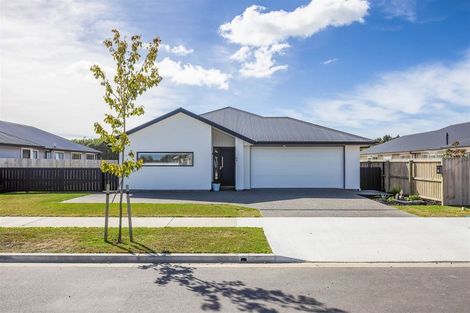 Photo of property in 45 Mcquillan Avenue, Woodend, 7610