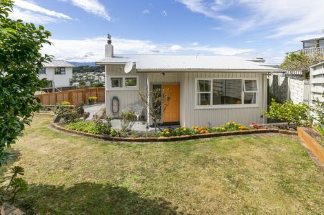 Photo of property in 41 Priscilla Crescent, Kingston, Wellington, 6021