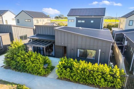 Photo of property in 63 Black Beech Crescent, Takanini, 2110