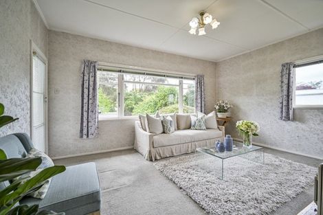 Photo of property in 813 Lawrence Street, Akina, Hastings, 4122