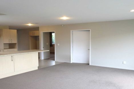 Photo of property in 48b North Avon Road, Richmond, Christchurch, 8013