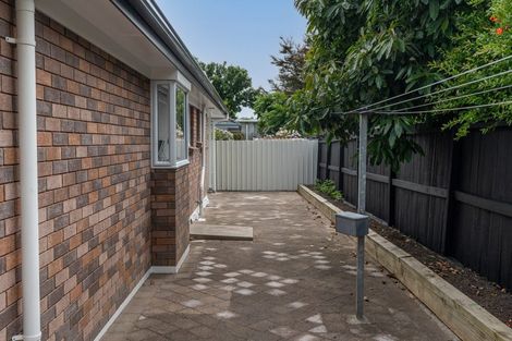 Photo of property in 172a Nixon Street, Hamilton East, Hamilton, 3216