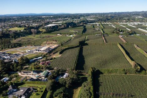 Photo of property in 81 Dunlop Road, Te Puke, 3119