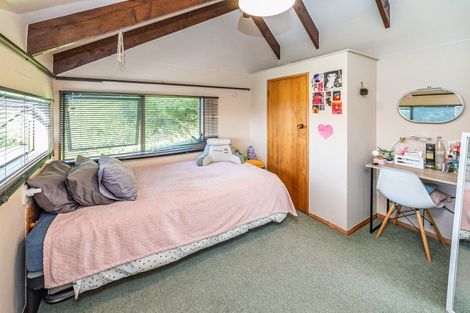 Photo of property in 14 Ngatarua Road, Putiki, Whanganui, 4500