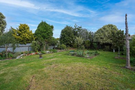 Photo of property in 20 Ihle Street, Terrace End, Palmerston North, 4410