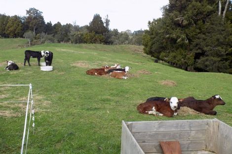 Photo of property in 1556c Pyes Pa Road, Oropi, Tauranga, 3173