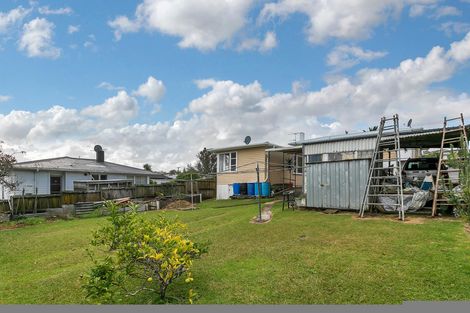 Photo of property in 50 Ellis Avenue, Mount Roskill, Auckland, 1041