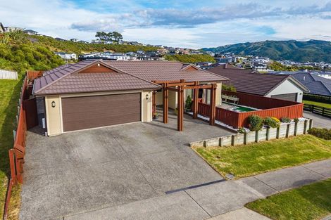 Photo of property in 16 Frances Brown Avenue, Aotea, Porirua, 5024