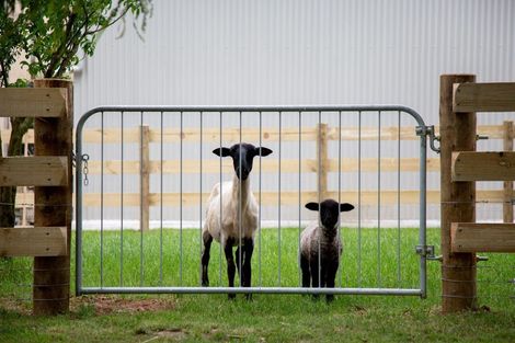 Photo of property in 303a Walton Road, Richmond Downs, Walton, 3475