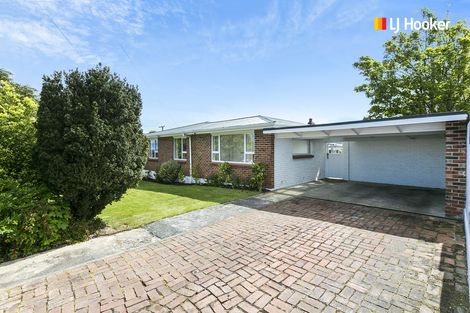 Photo of property in 3 Archibald Street, Waverley, Dunedin, 9013