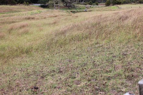 Photo of property in 1453 Tangowahine Valley Road, Tangowahine, Dargaville, 0372